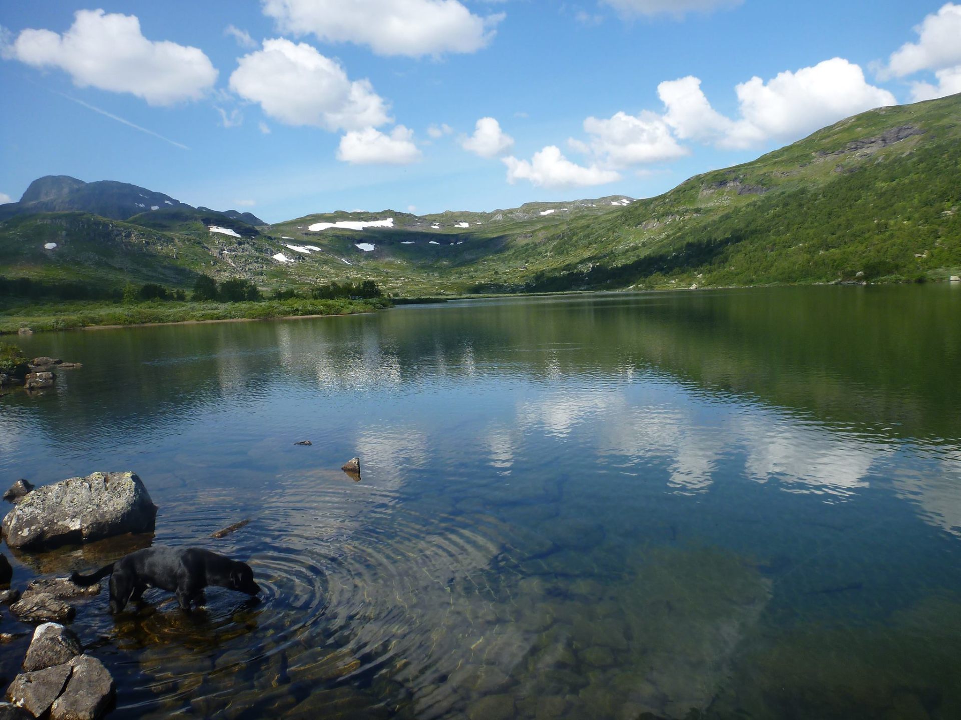 Hallingskarvet i Hol – lokal natur i Hallingdal